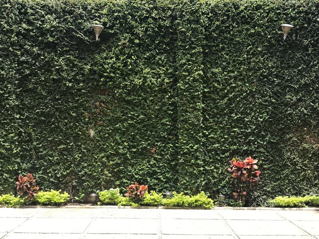 Real Avenida Hotel Tuxtla Gutiérrez Екстериор снимка
